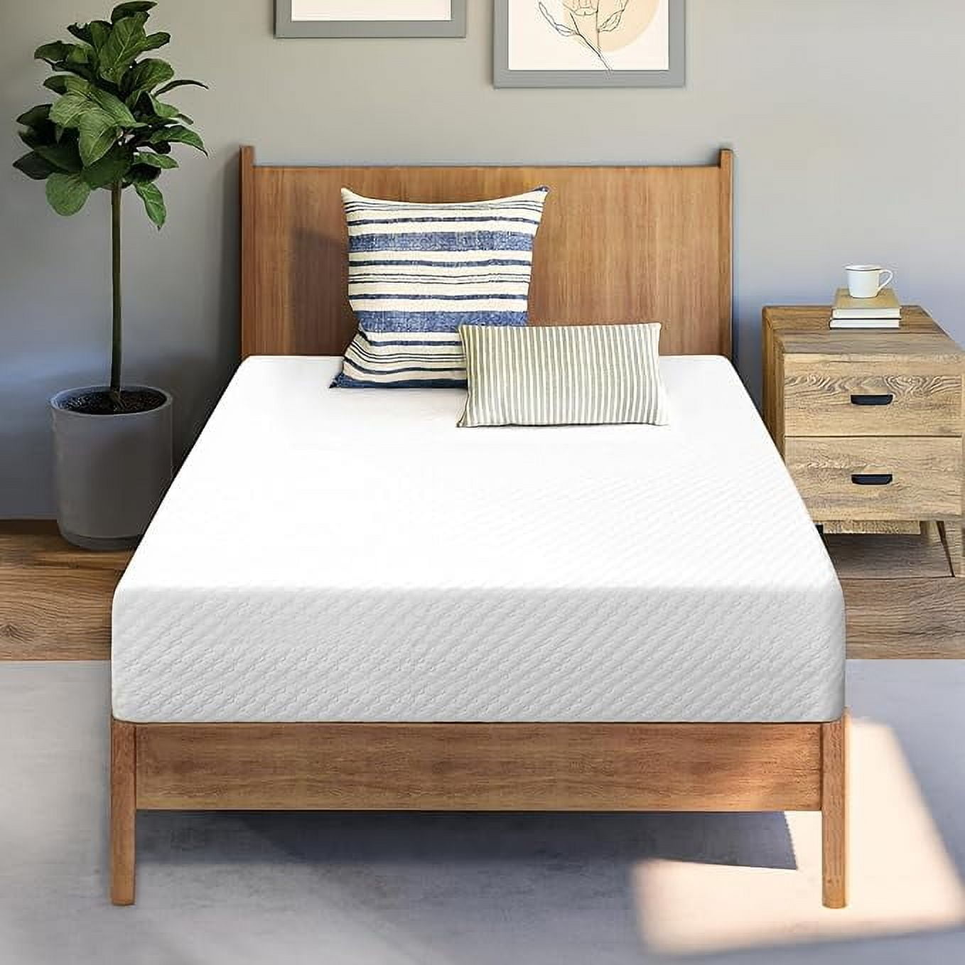 10 Inch Queen Mattress Medium Firm, Mattress in a Box Enhanced Pressure Relief Removable Soft Cover No Fiberglass (Queen, 10 in)